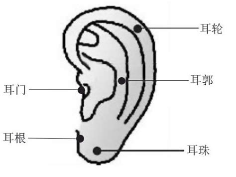 耳朵痣的意思|耳朵长痣的位置图解 耳朵长痣的位置图解有福气